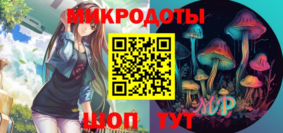 Галлюциногенные грибы Psilocybine cubensis Астрахань